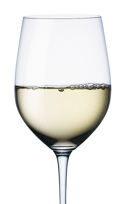 Wine glass