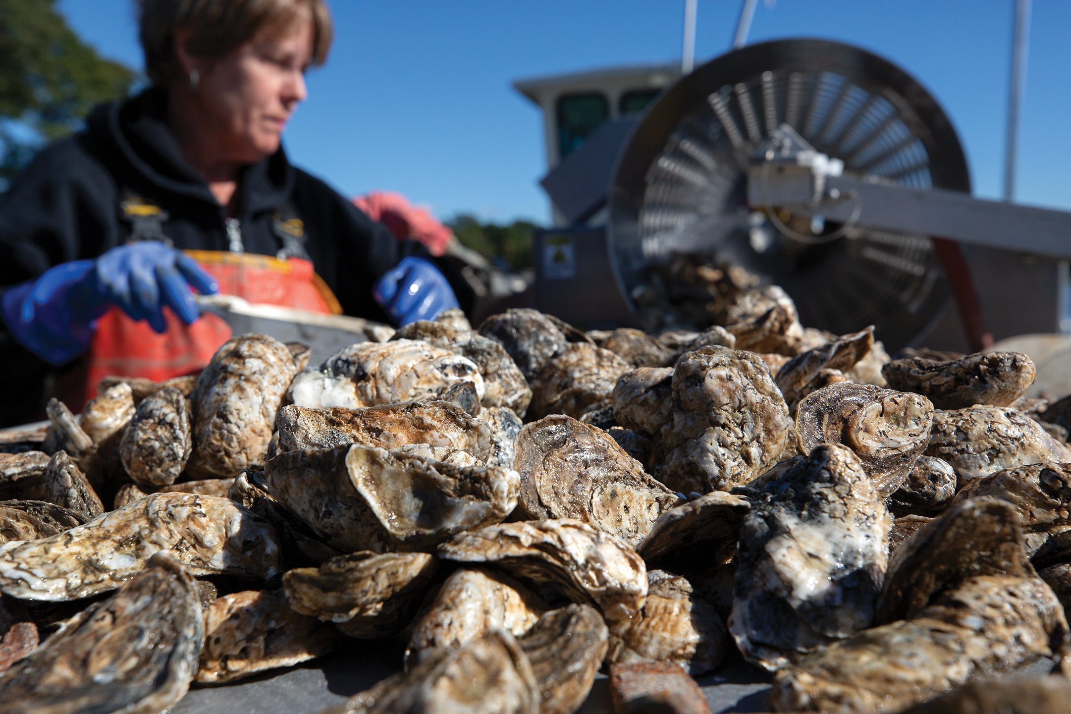 Fat 'N Happy Oyster Company