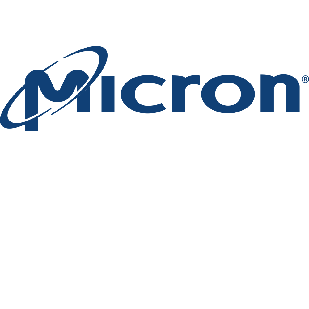 Micron Logo