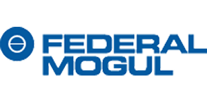 Federal Mogul Logo