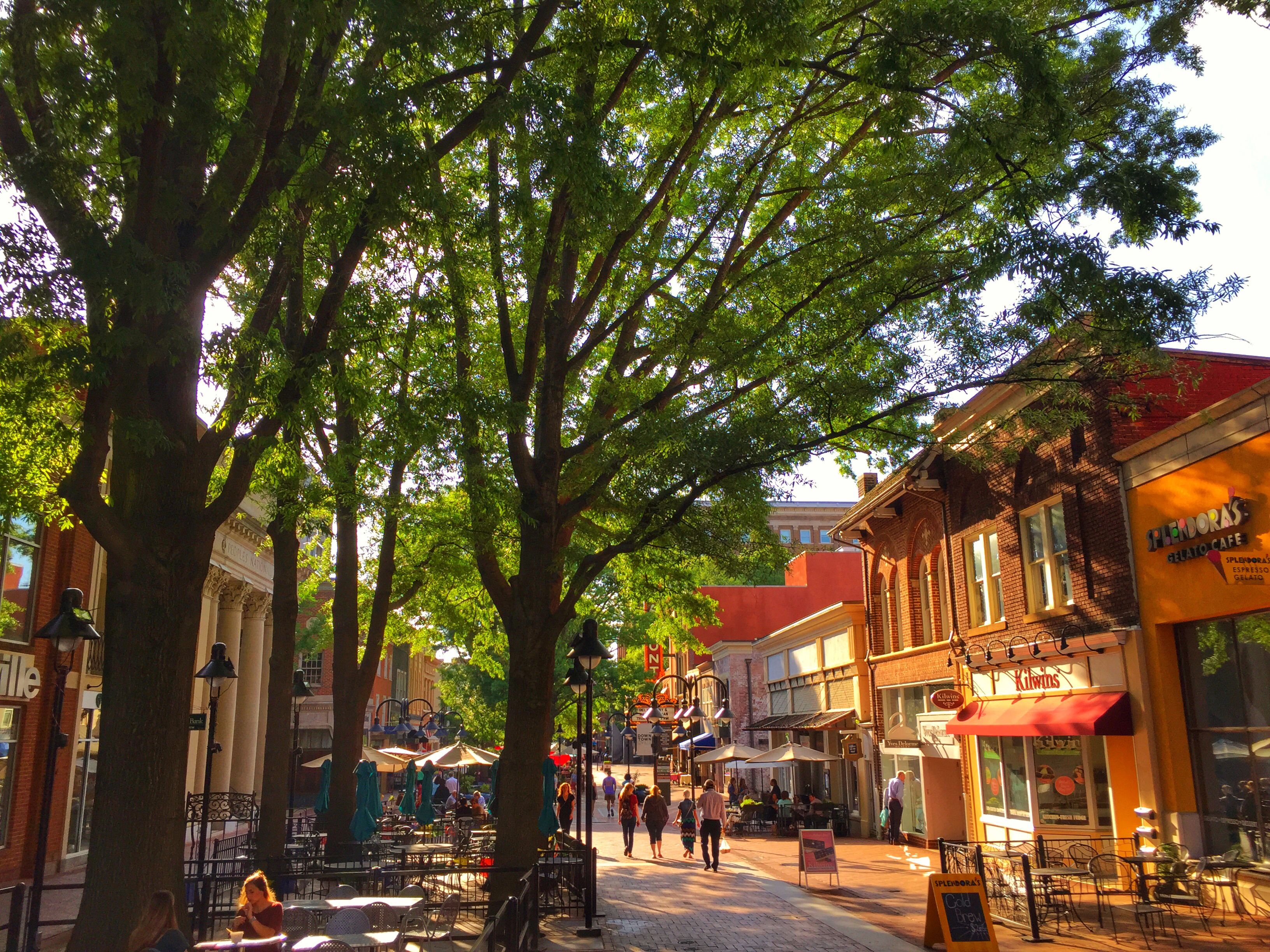 Downtown Charlottesville