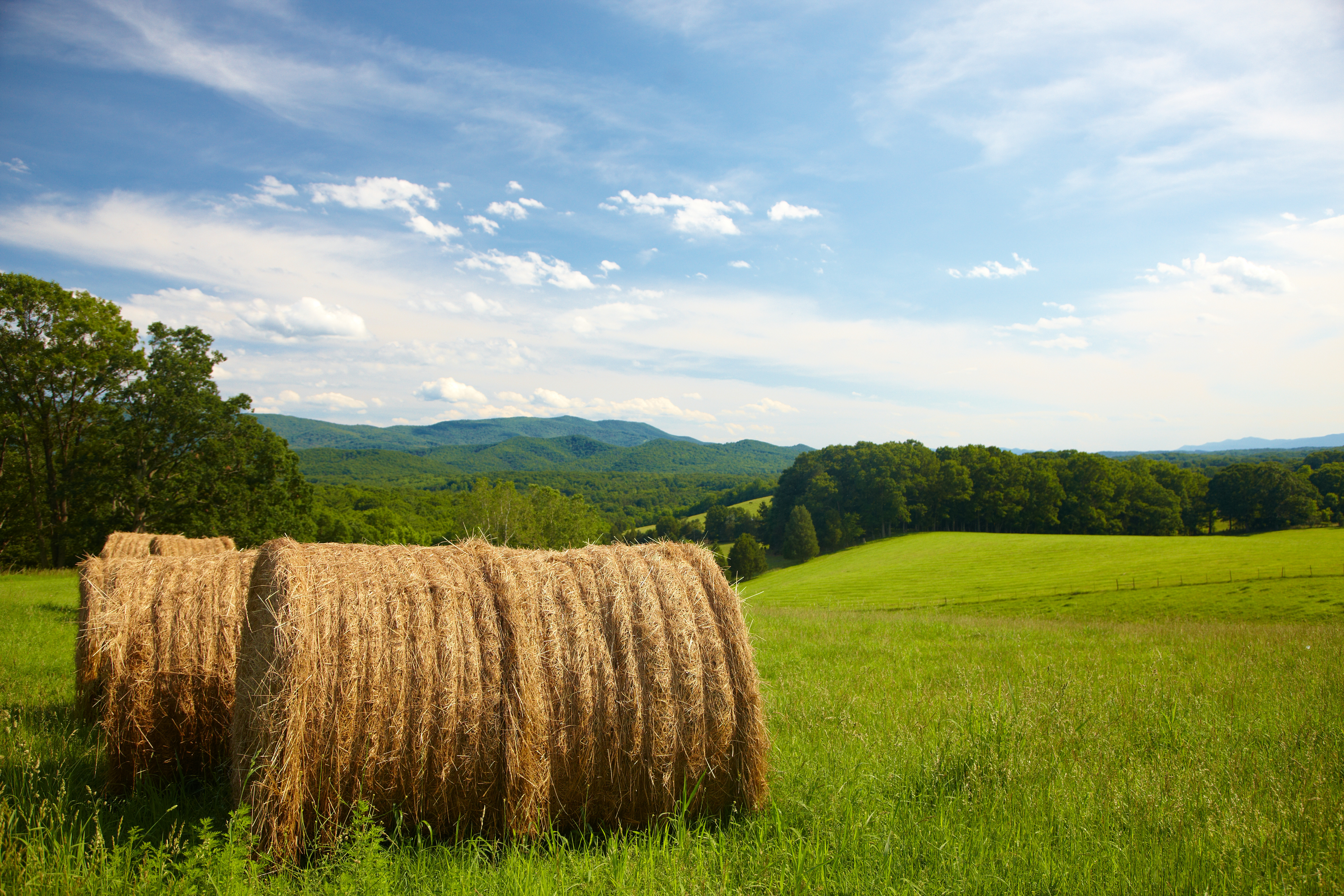 Shenandoah Valley