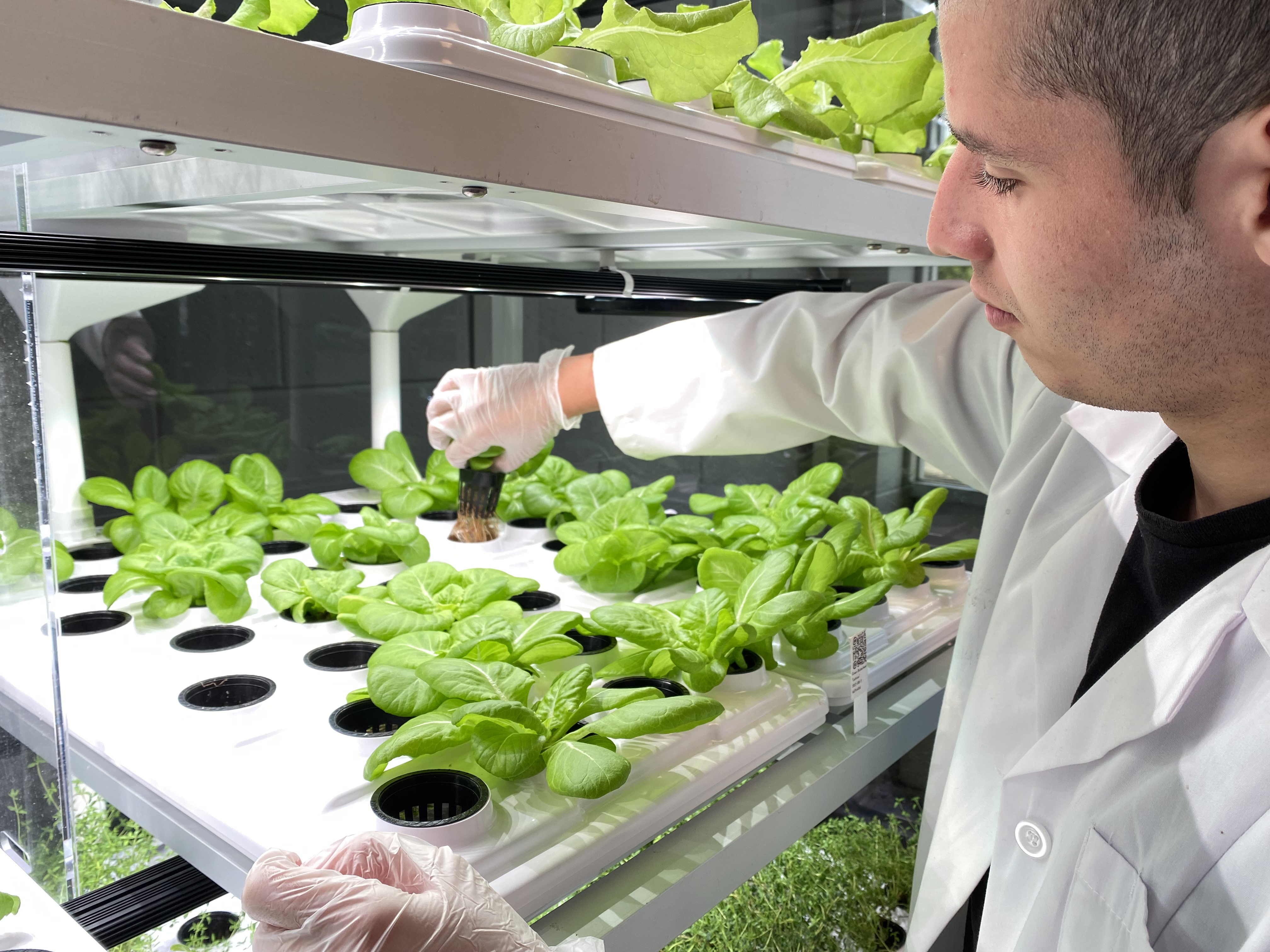 Babylon hydroponic farming system