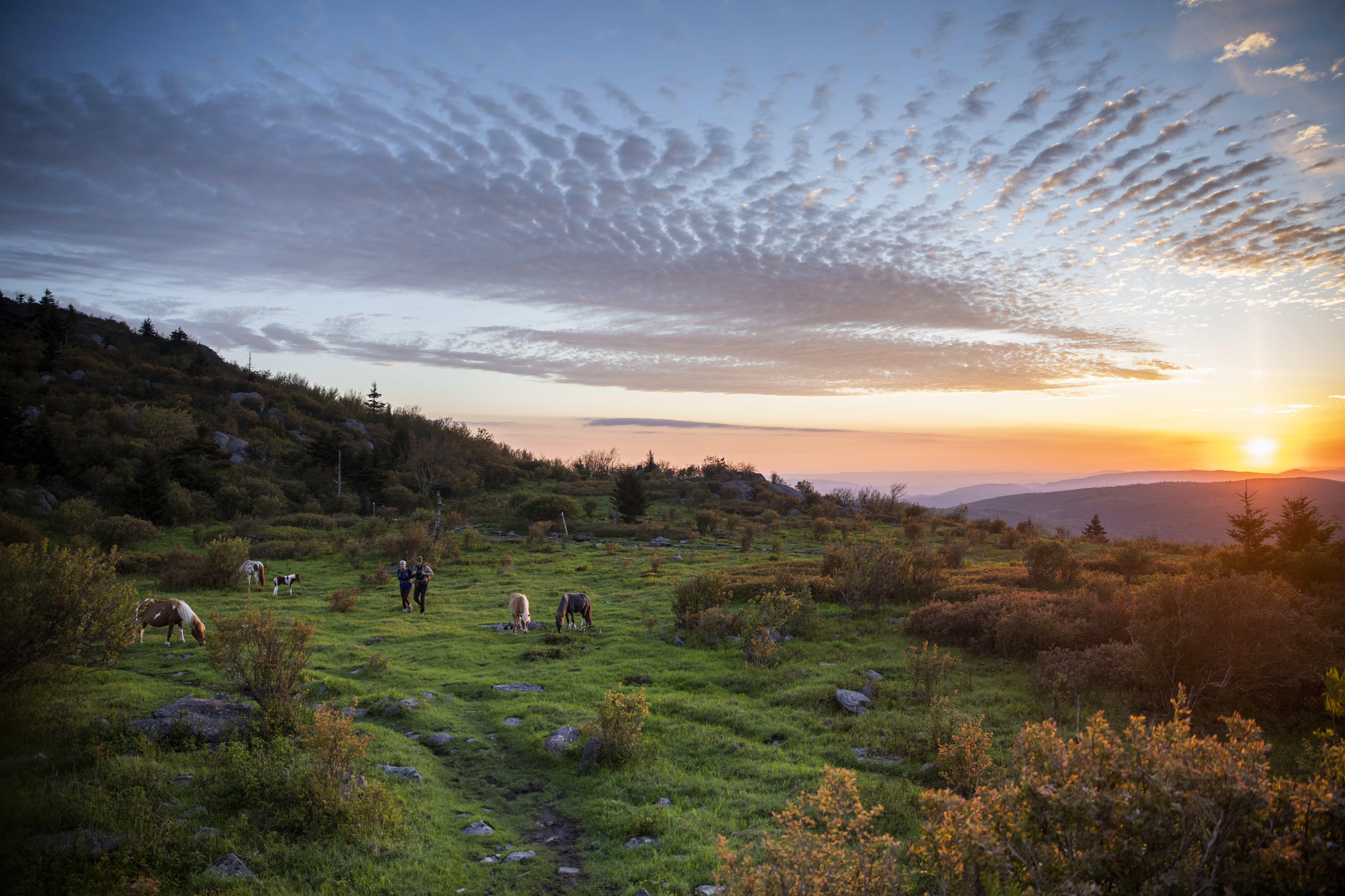 Grayson Highlands State Park