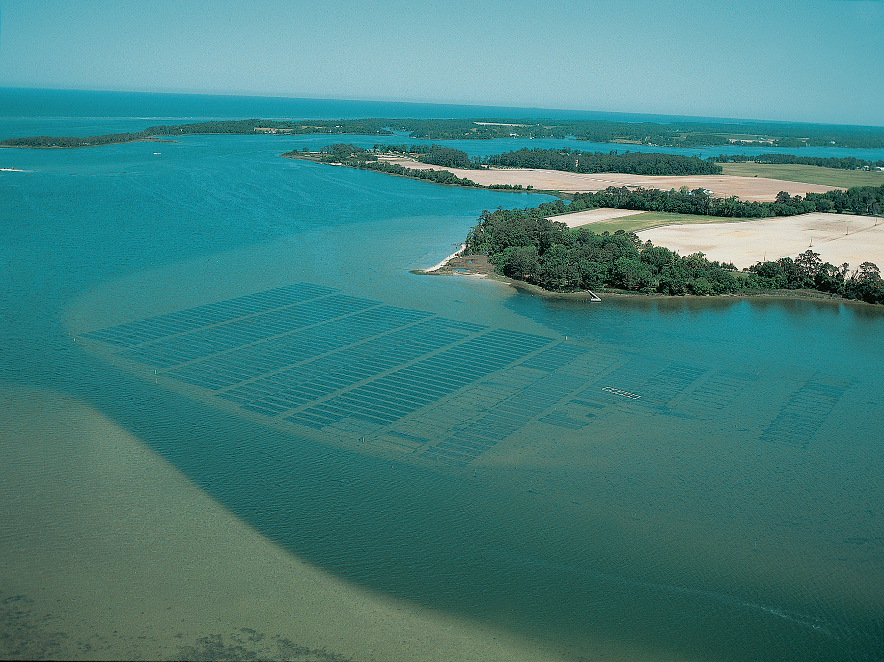 Cherrystone Aqua-Farms, Northampton County 