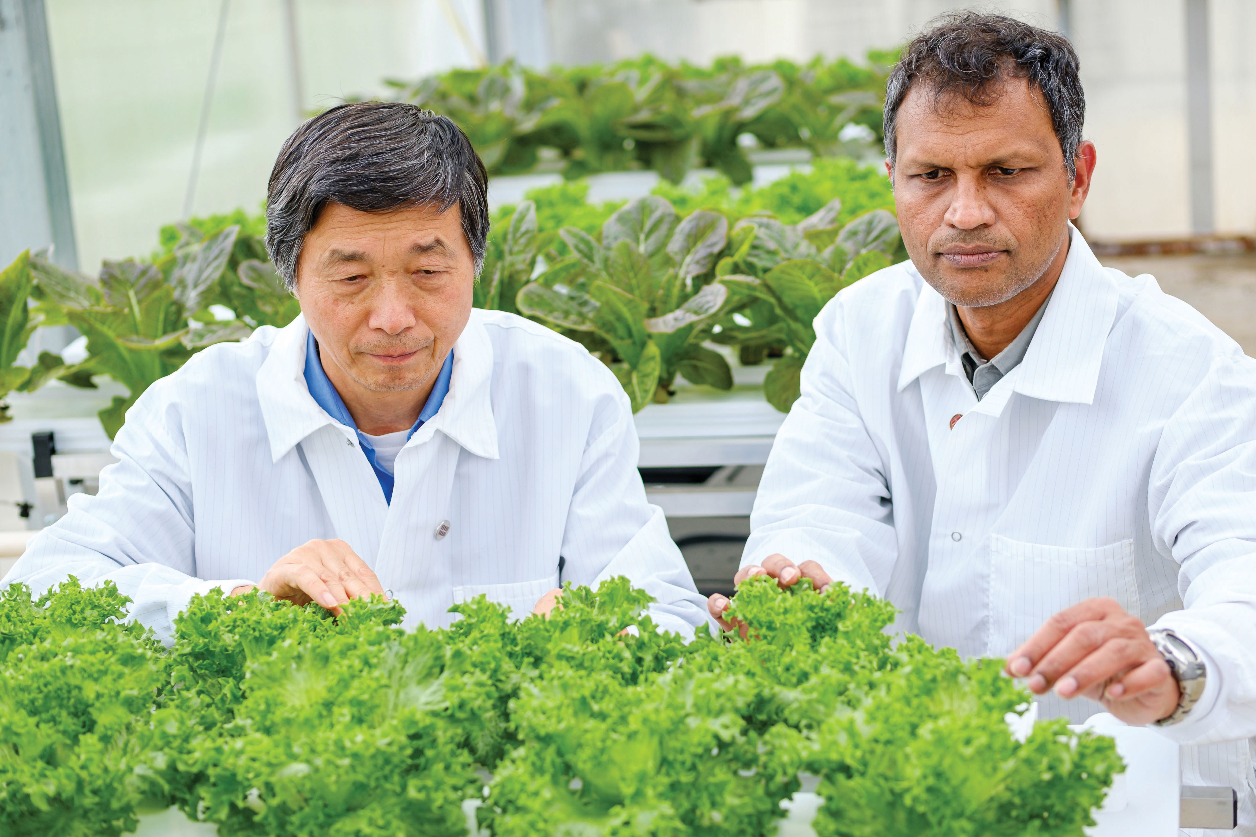 Controlled Environment Agriculture Innovation Center, Institute for Advanced Learning and Research, Danville