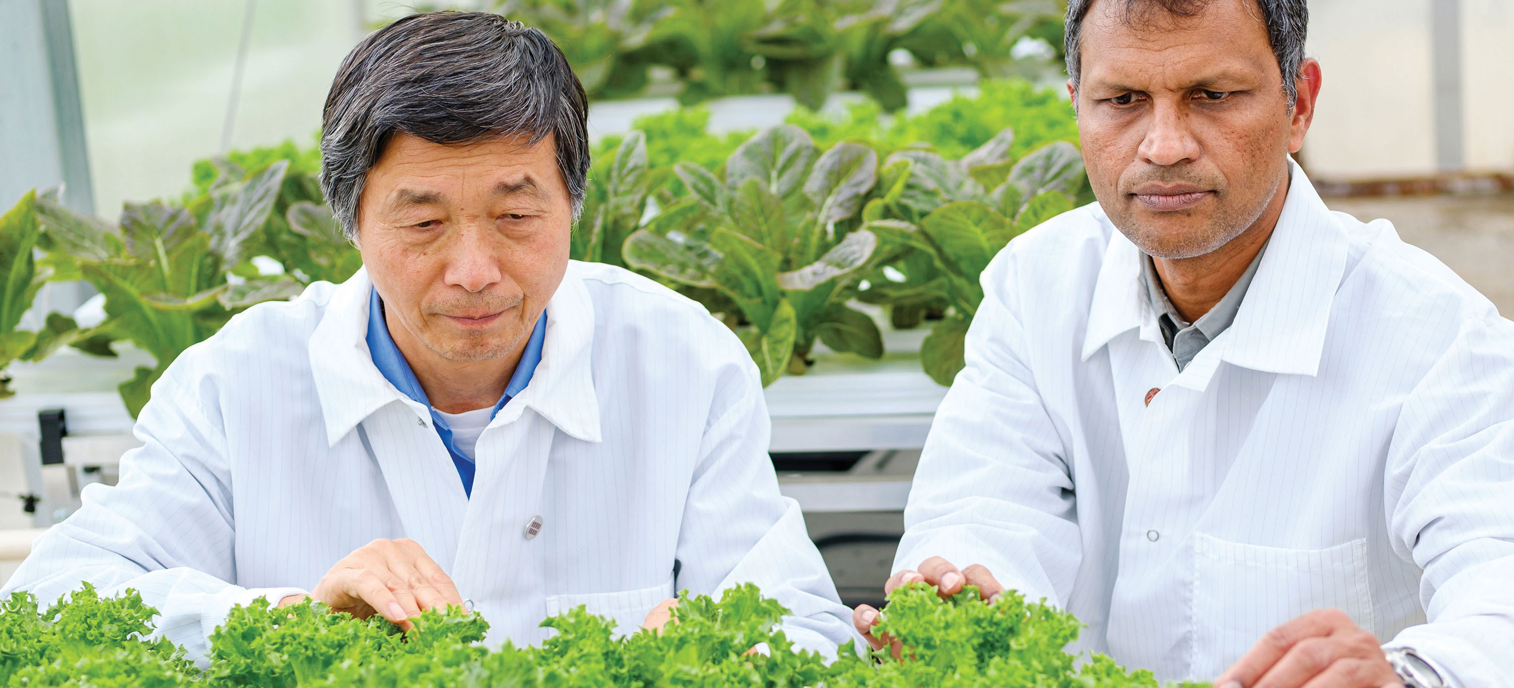 Controlled Environment Agriculture Innovation Center_IALR_Danville_Southern Virginia_Homepage
