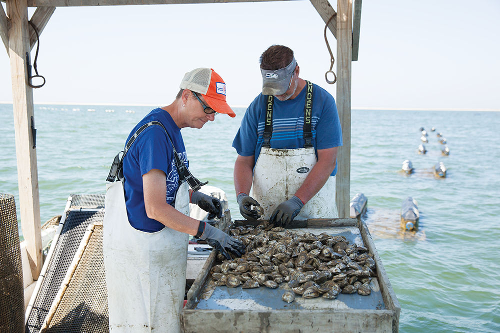 Tangier Island Oyster Co., Accomack County
