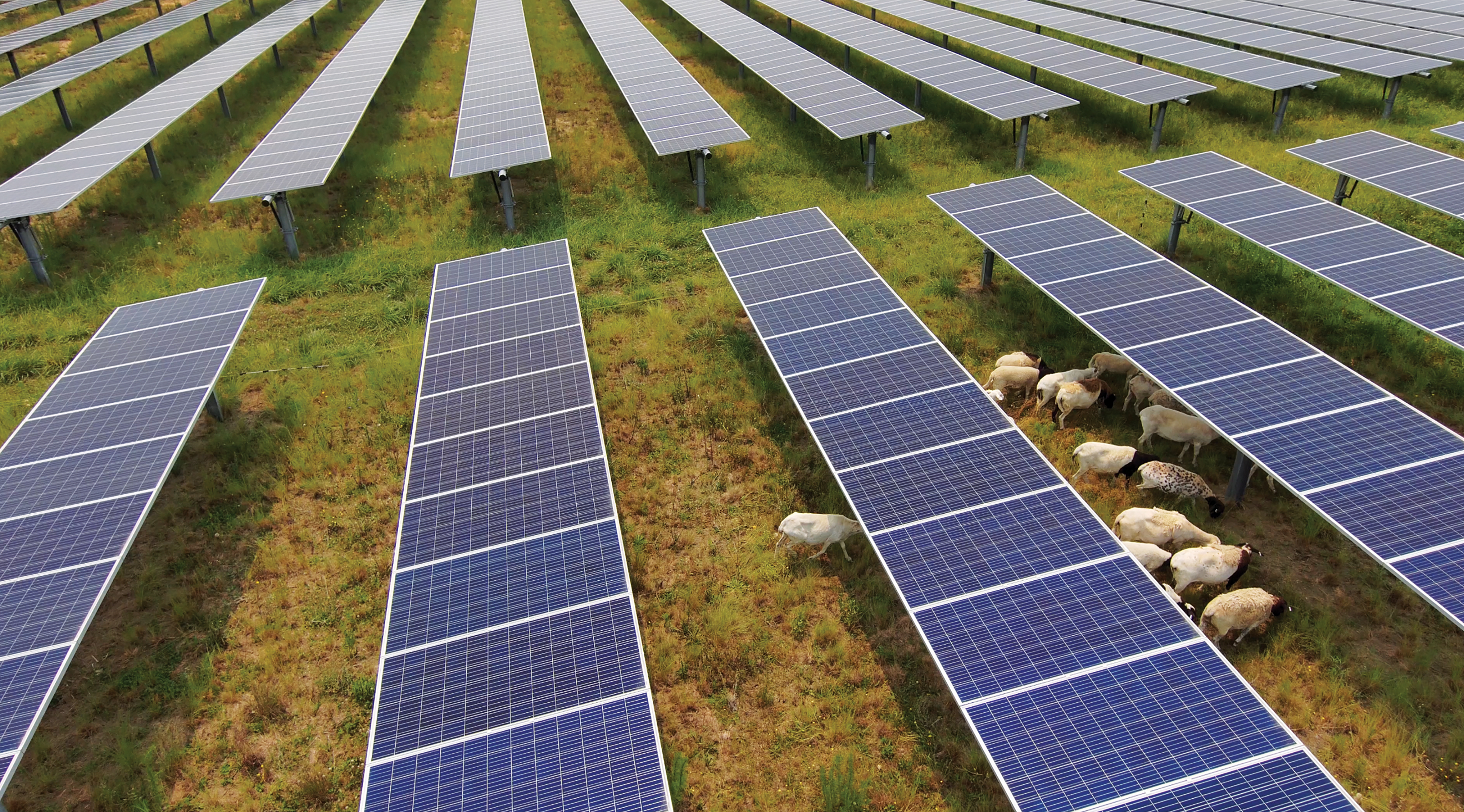 Dominion Energy solar facility, Buckingham County