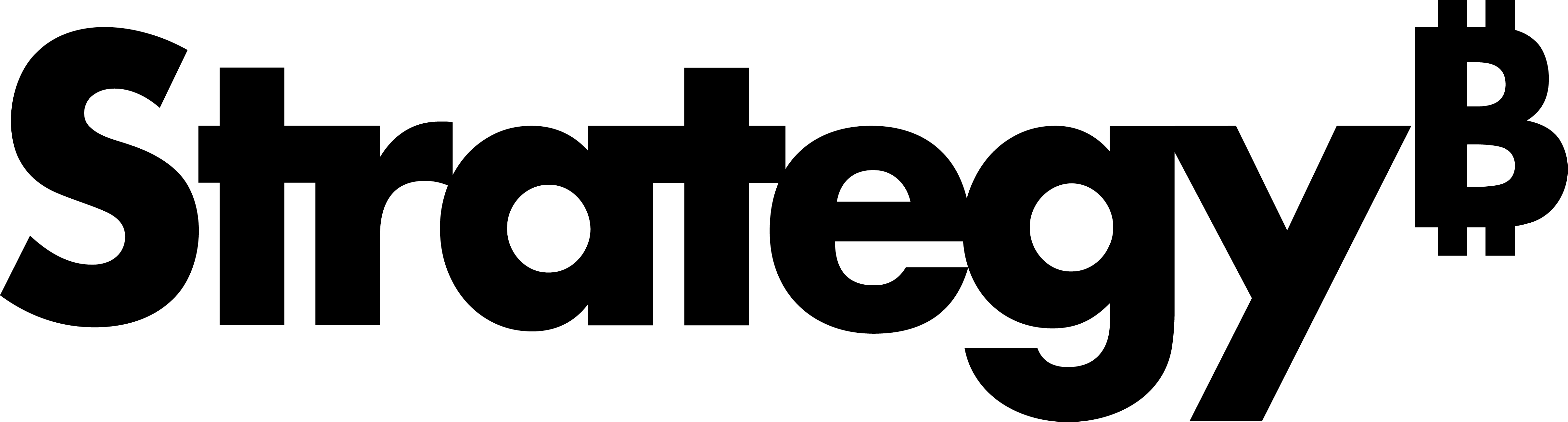 Black Strategy Software logo