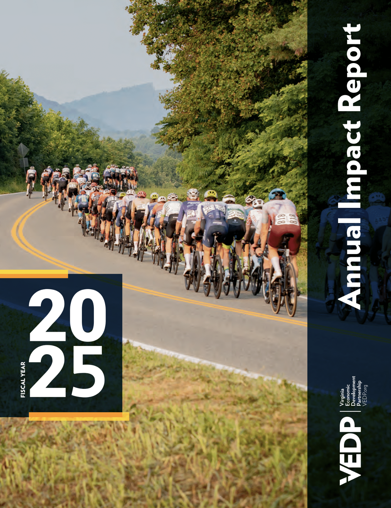 Cover image of the FY25 Annual Impact report