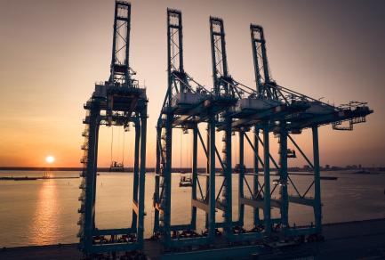 Cranes by water at sunrise