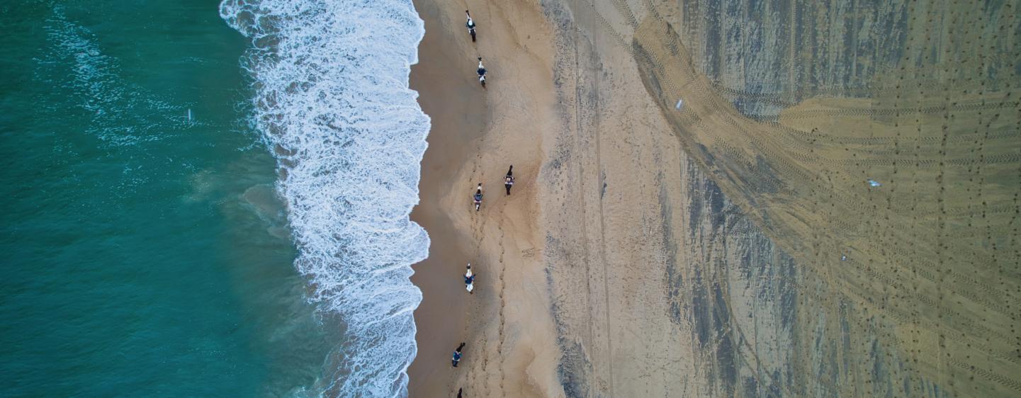 Aerial photo of horses running down a beach