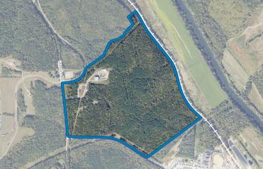 Coleman Site