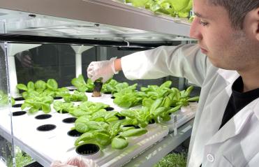 Babylon hydroponic farming system