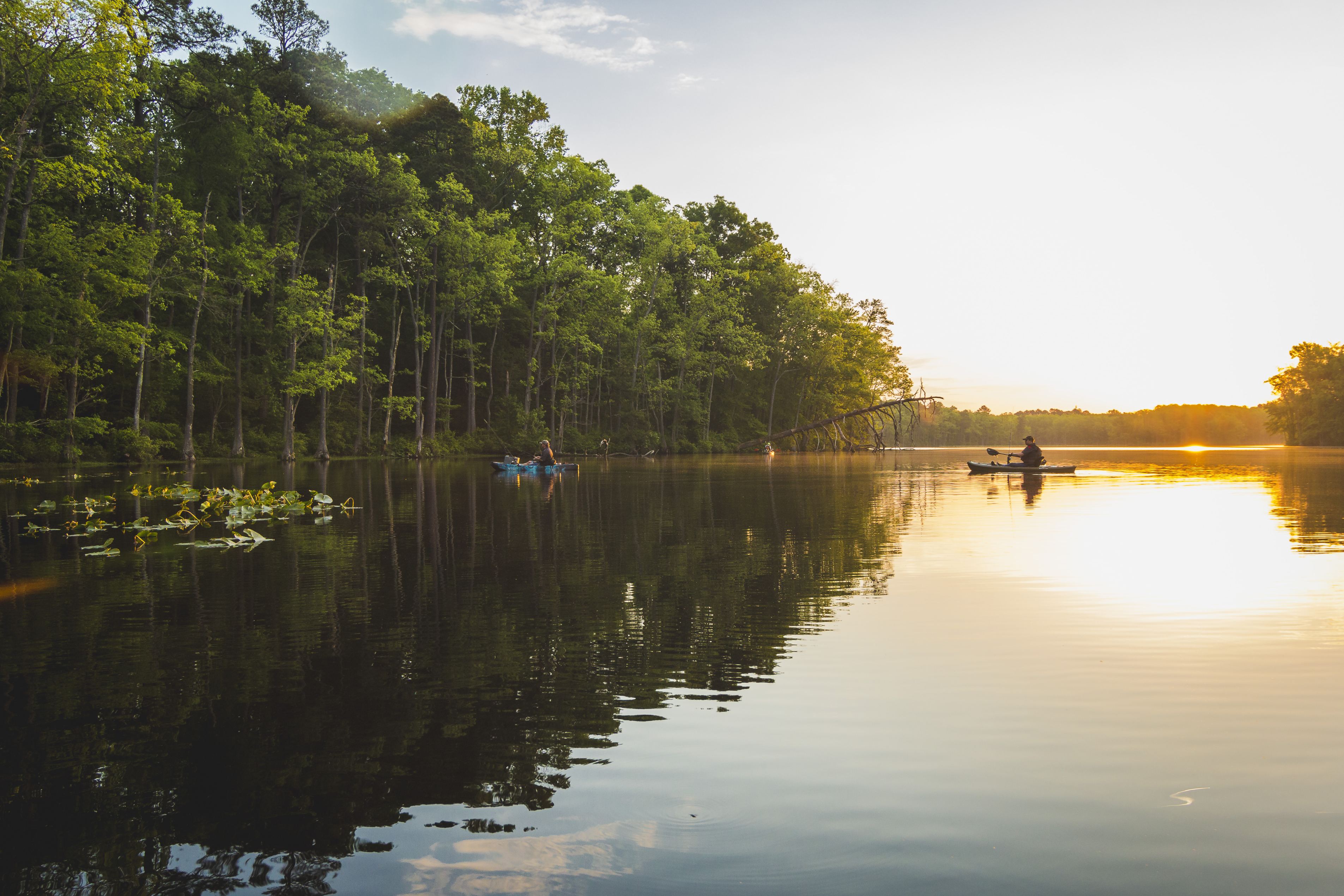 Sunset view of Harrison Lake. 