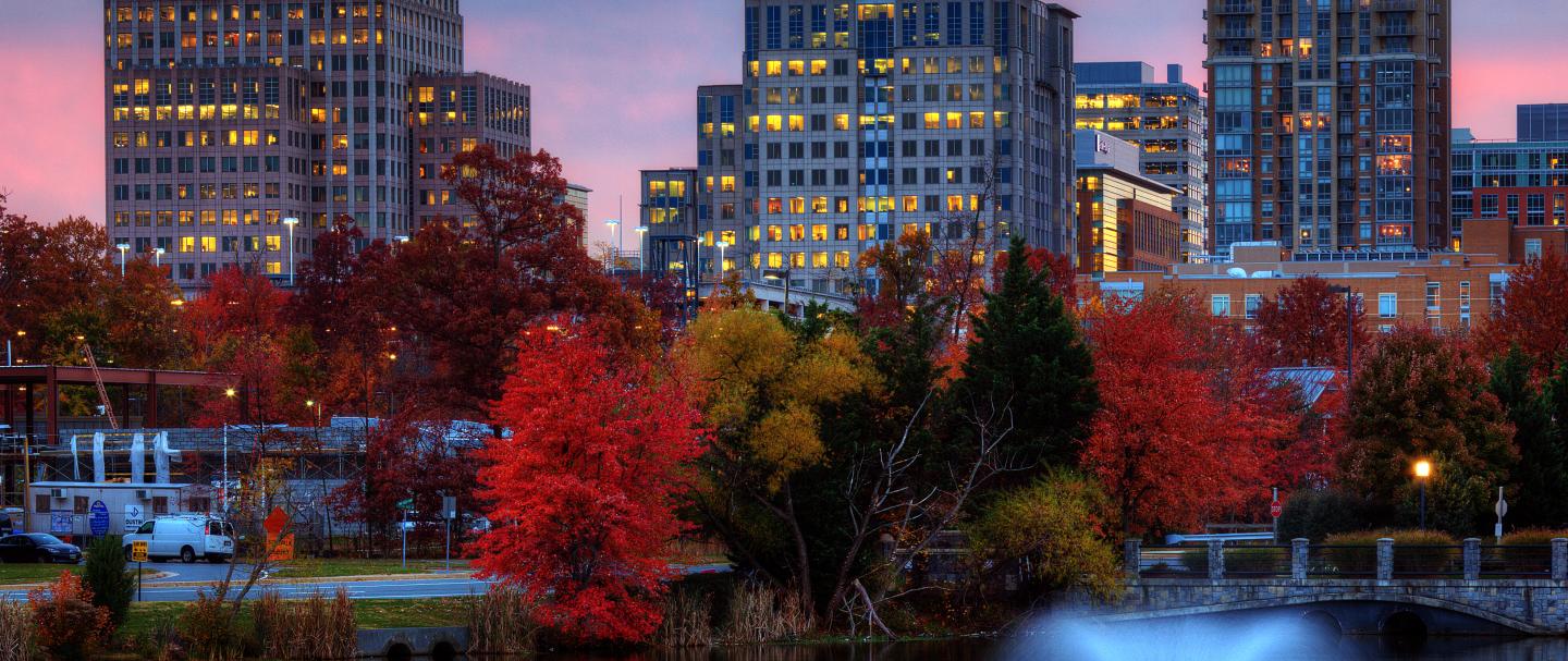 A rendering of three buildings, one with a Microsoft logo, with a lake and trees in front