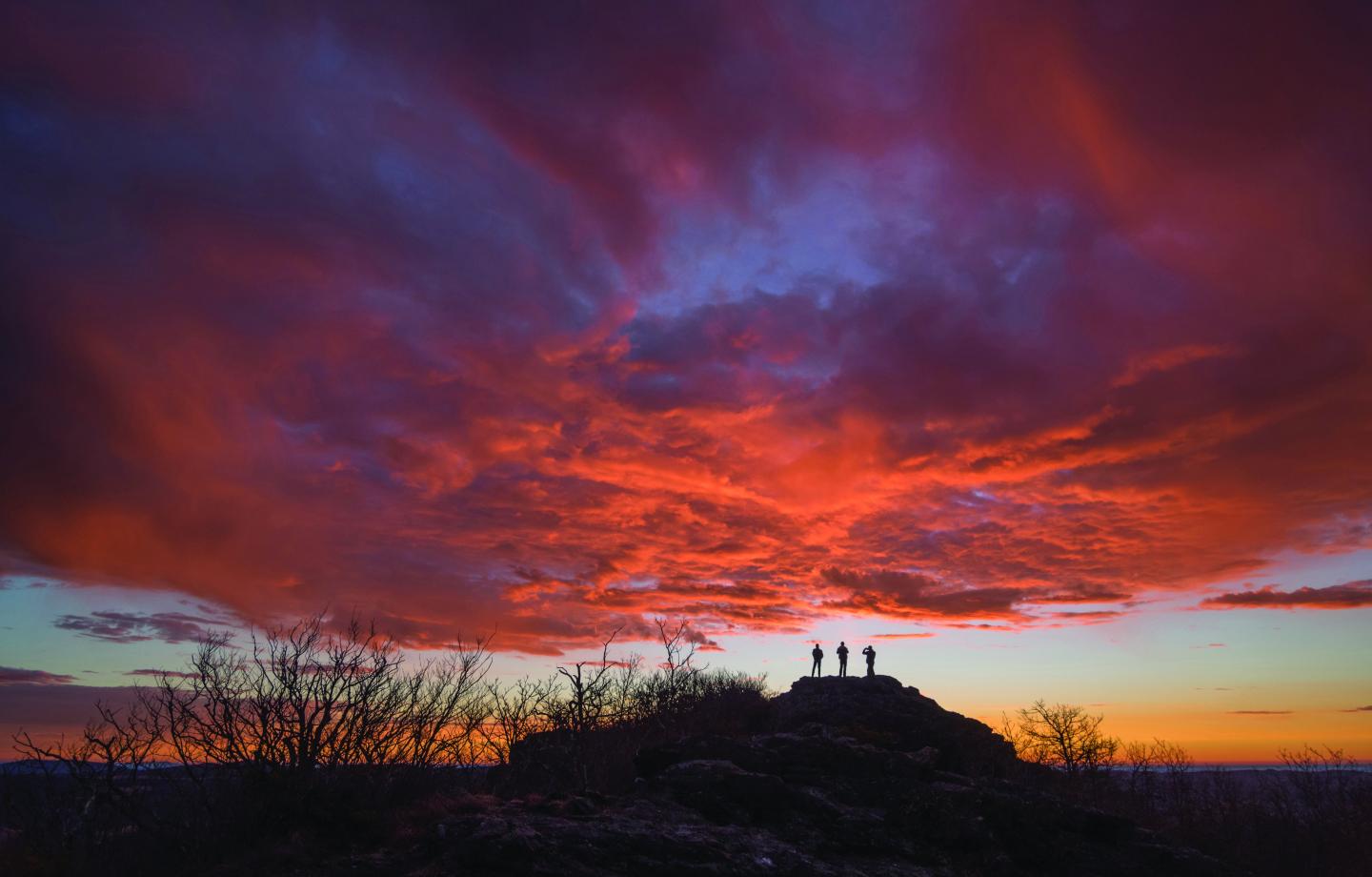 Photo of Buffalo Mountain 