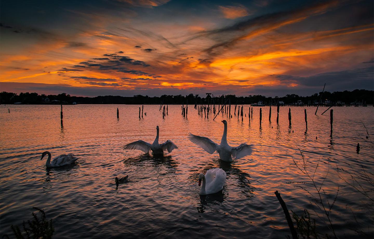 Colonial Beach Northern Neck