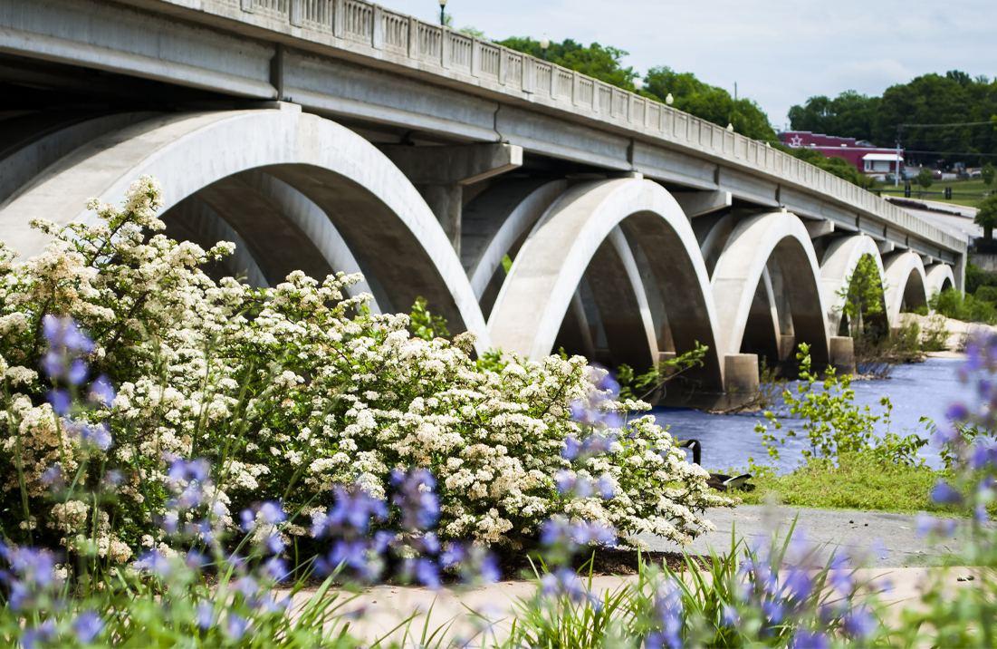 Arched bridge over a river with flowers in the foreground