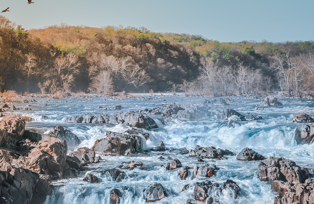 Rocky river rapids bordered by wooded hills.