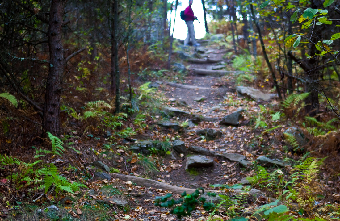 Hiker walking along a rocky forest trail