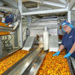 A woman working a sorting machine for Reese's Pieces