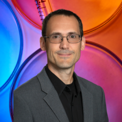 Dave Maraldo