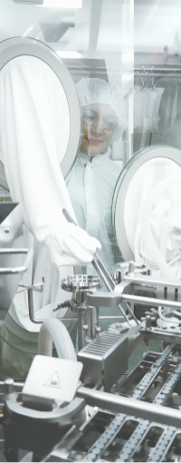 lab