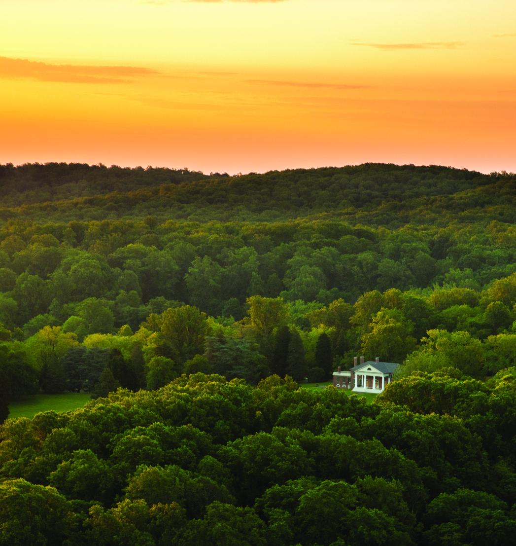 A country house surrounded by trees at sunset