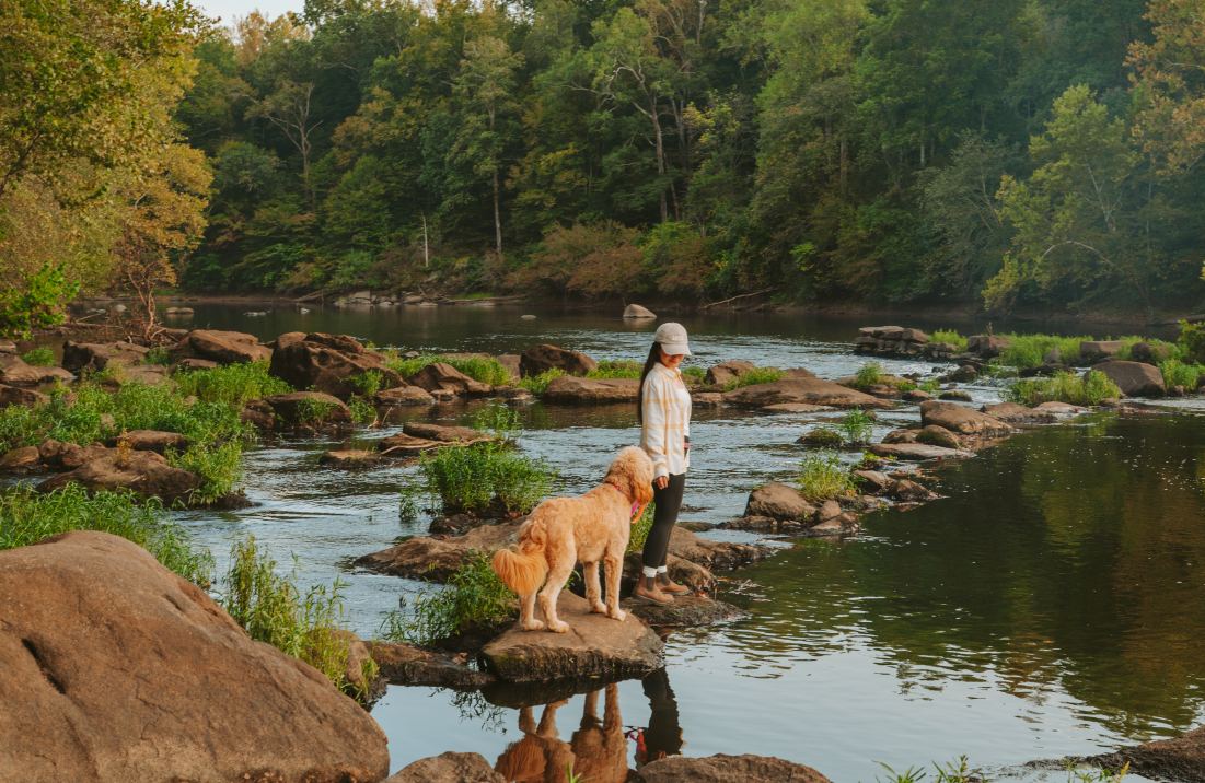Woman and dog standing in the middle of Appomattox river. 