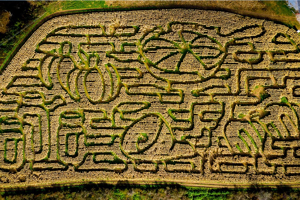 Crab Orchard Corn Maze, Tazewell County