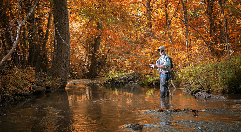 Fly Fishing, Frederick County